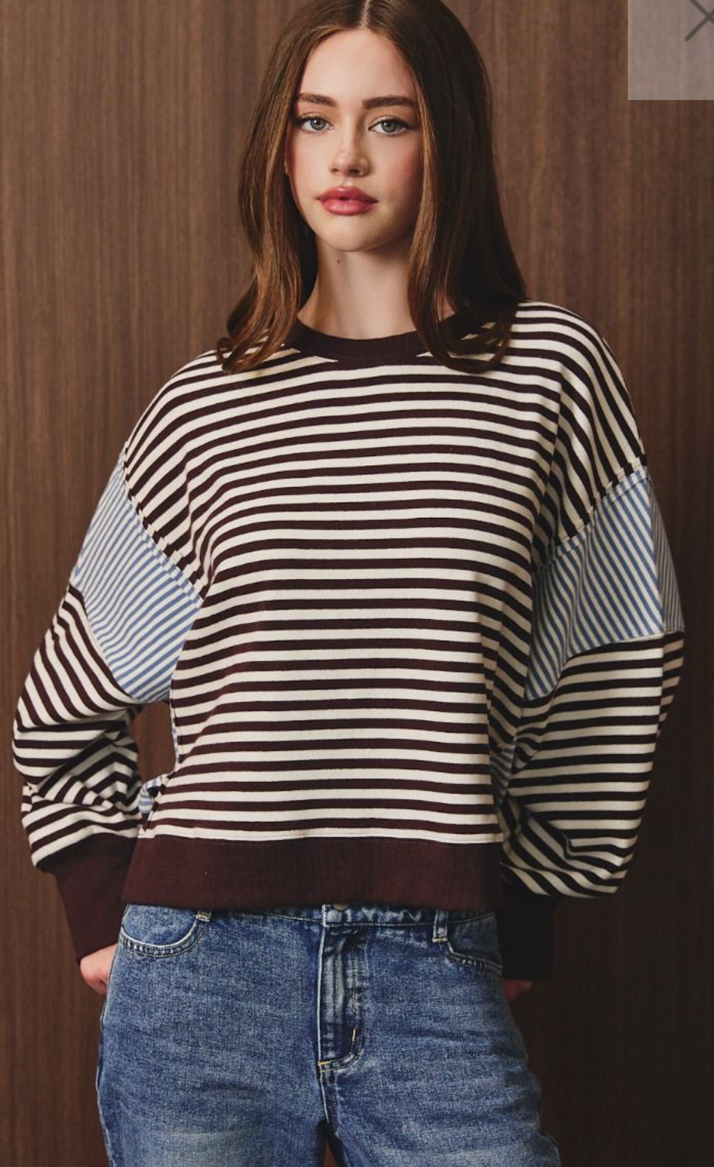 Striped Pullover Brown /Blue